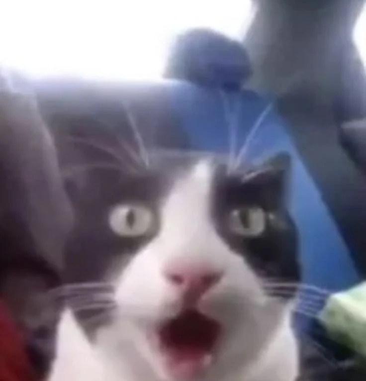 Ohhhh.jpg
