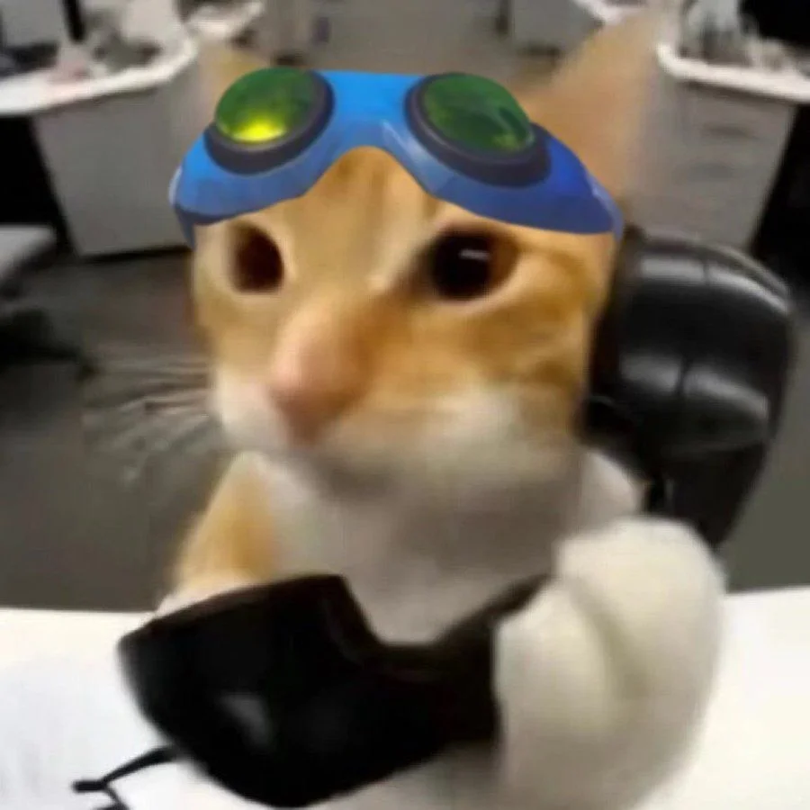 HPdjofdWEAEnoT2.jpg