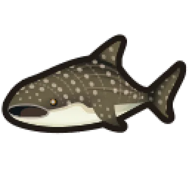 fish.png