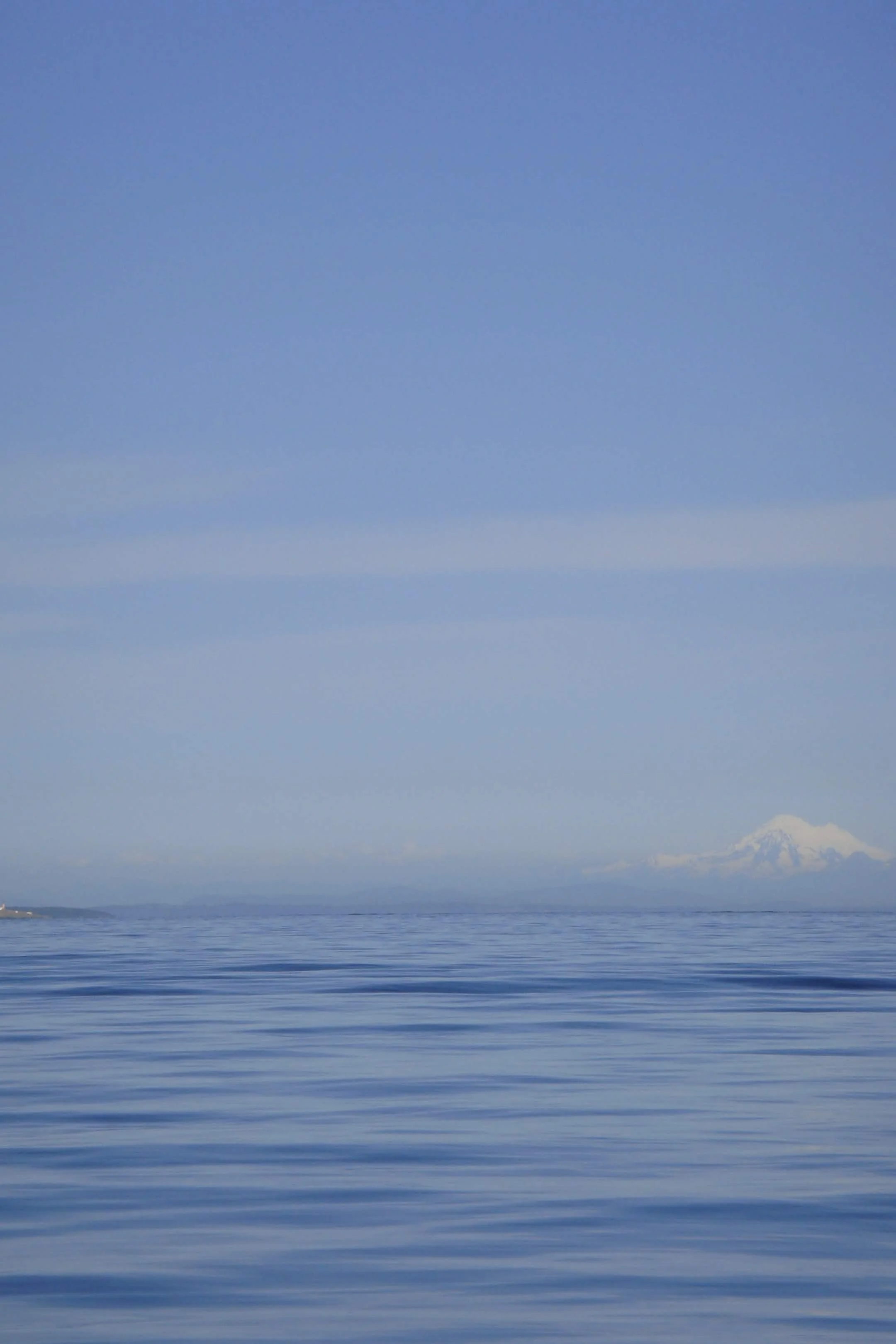 DSC00511.jpg