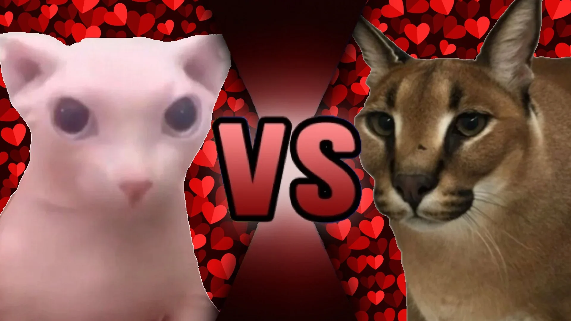 bingus-vs-big-floppa-v0-ymbmtc4kdp7a1.png