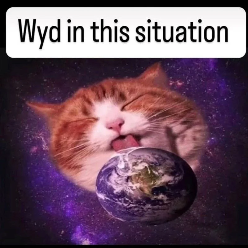 wyd-this-situation.jpg
