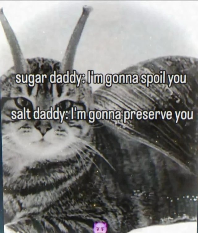 suggarrhs-ajadbngf-spfuce-adb-evrysthufn-nsjxce-ahshshxb-v0-j91hlb4zu95h1.jpg
