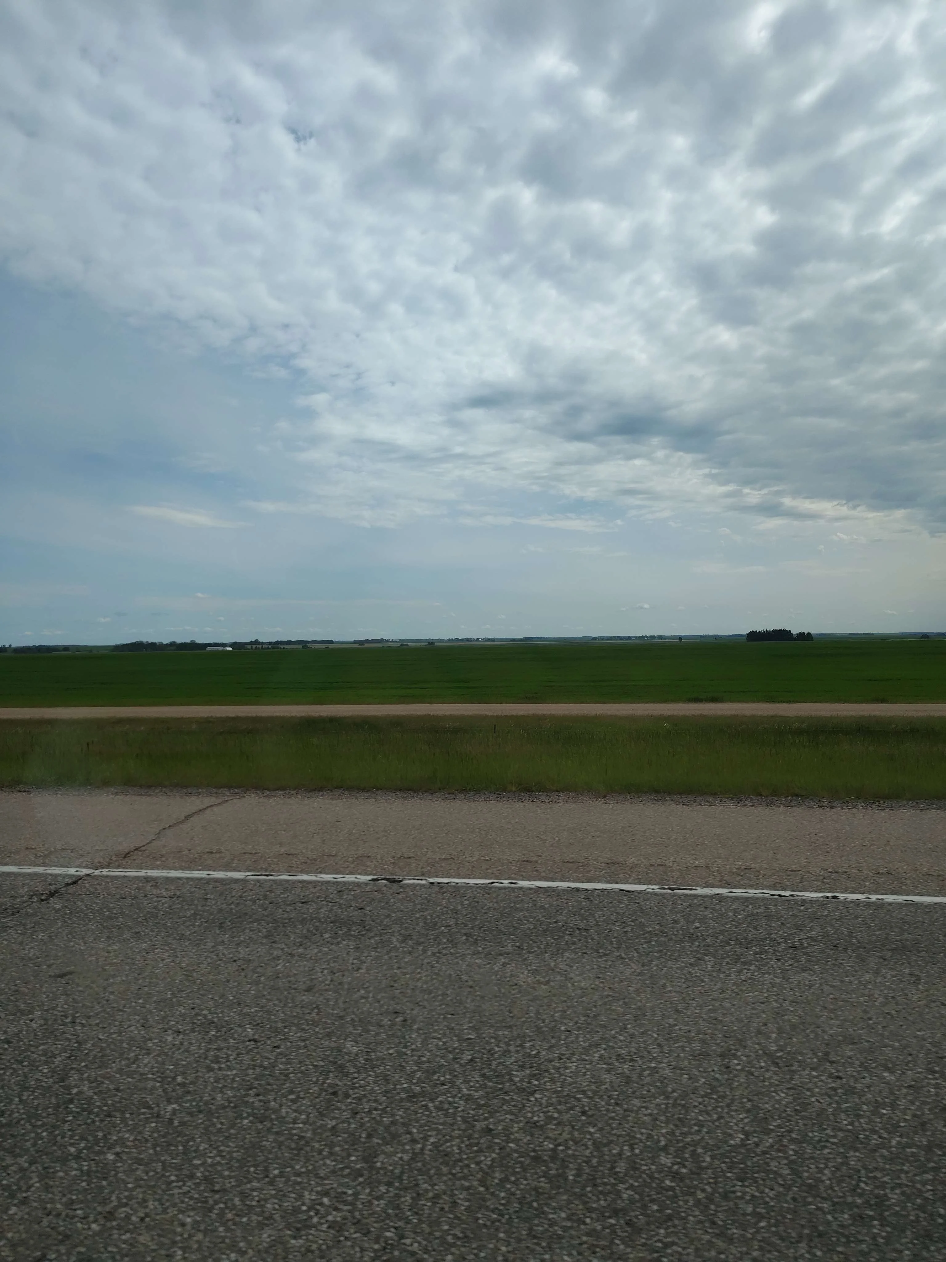 rn_image_picker_lib_temp_0a98a369-f1eb-4ea3-bdd2-8314b93ff40e.jpg
