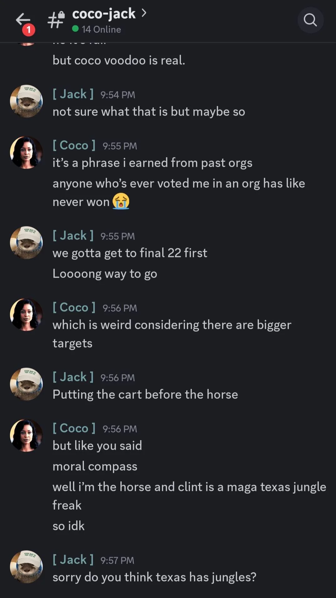 Screenshot_20260602_215741_Discord1.jpg
