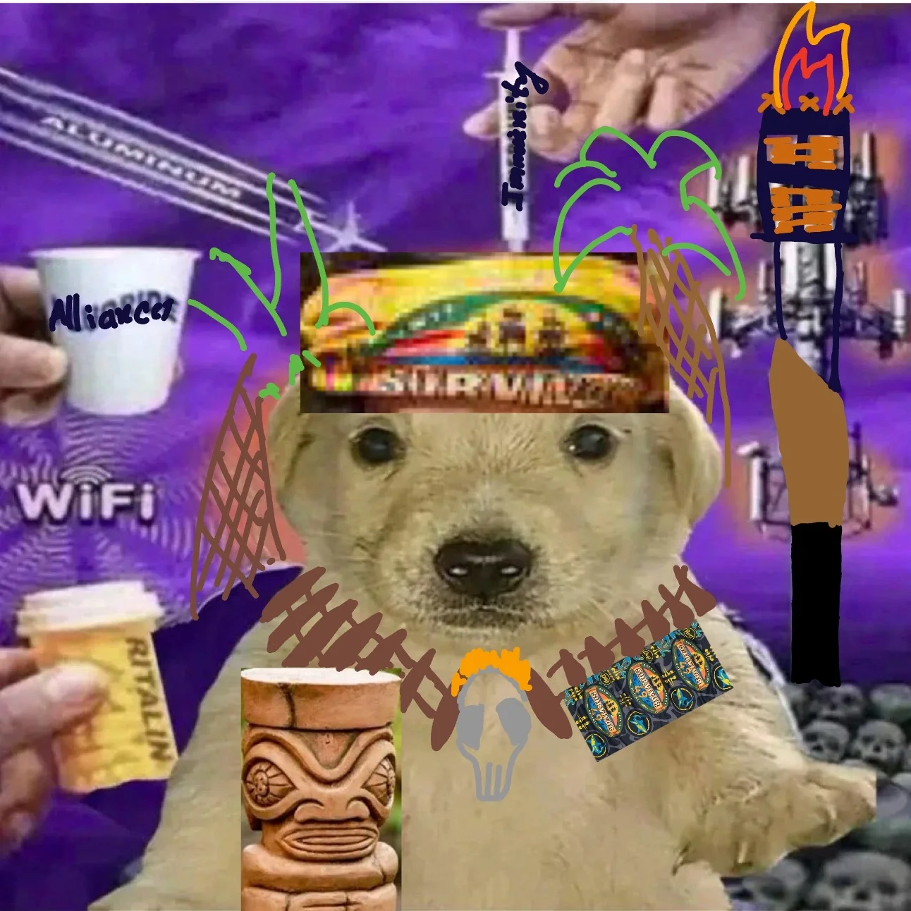 IMG_1136.png