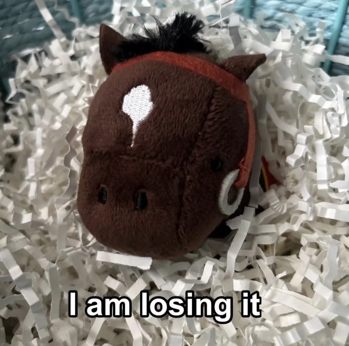 IMG_1063.png